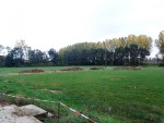Hier komen twee velden, inclusief hoofdveld